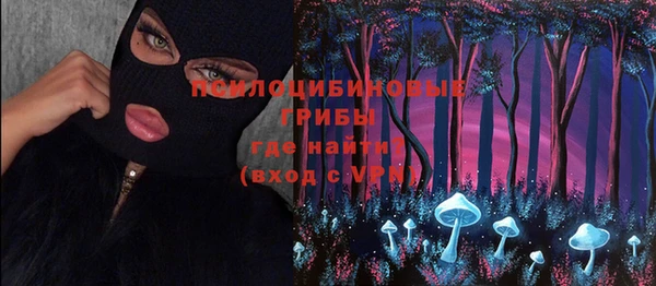 Альфа ПВП Ельня