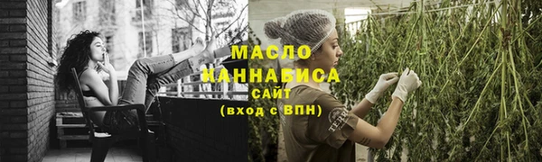 Альфа ПВП Ельня